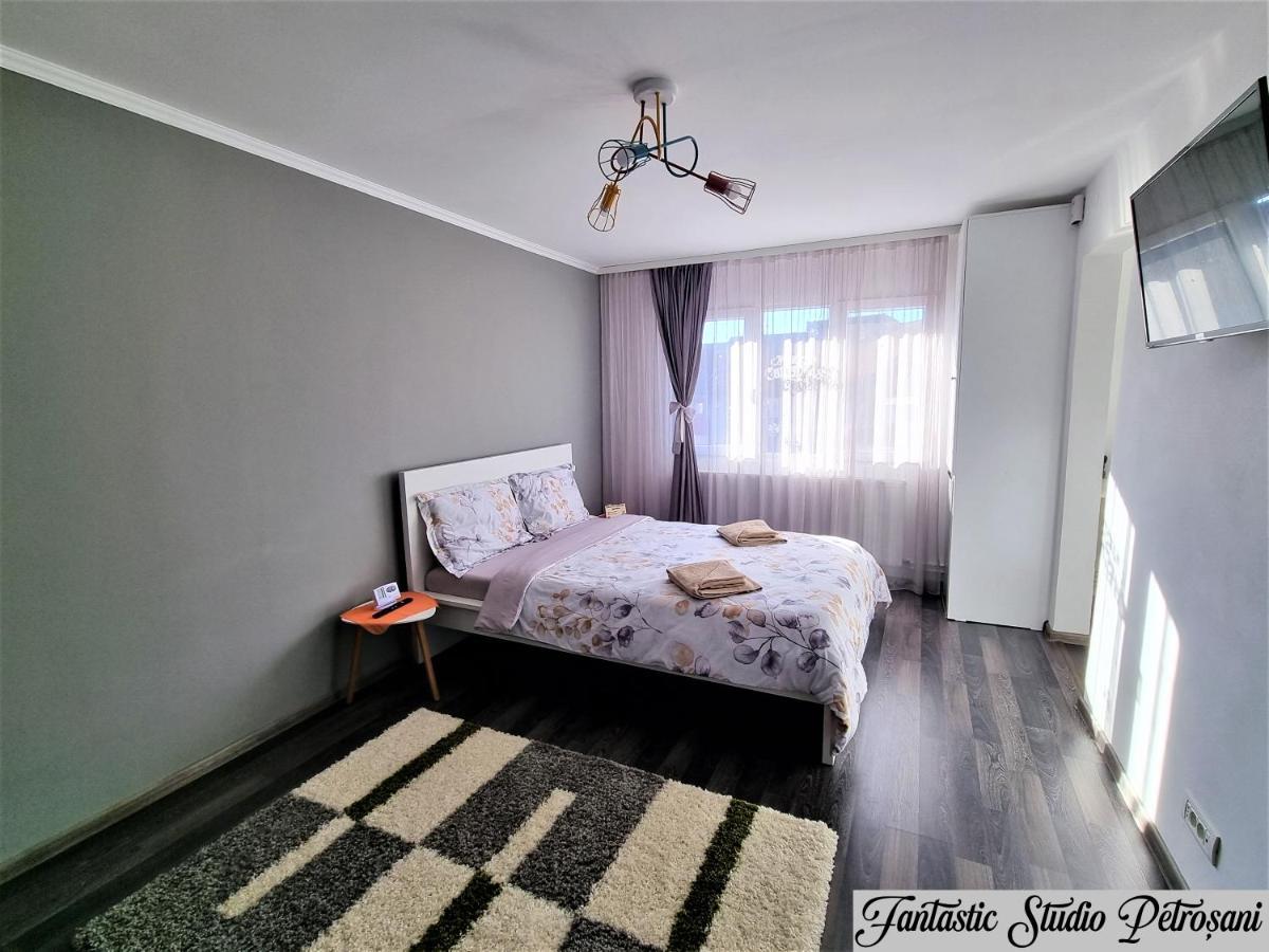 Ferienwohnung ~Fantastic Studio Petrosani~ Exterior foto